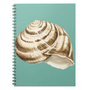 Sepia Stripe-Snäckan på skalet Anteckningsbok Med Spiral