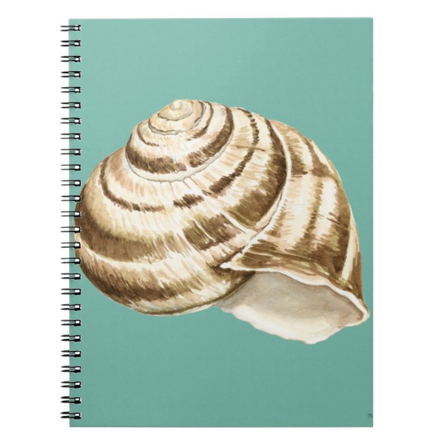 Sepia Stripe-Snäckan på skalet Anteckningsbok Med Spiral (Framsidan)