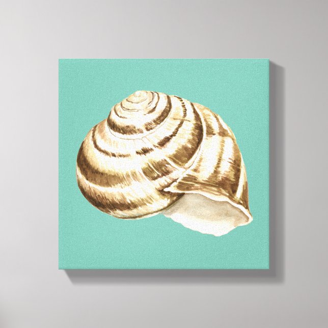 Sepia Stripe-Snäckan på skalet Canvastryck (Framsida)