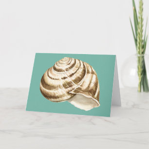 Sepia Stripe-Snäckan på skalet Kort