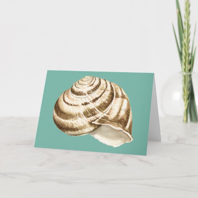 Sepia Stripe-Snäckan på skalet Kort (Framsida)