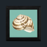 Sepia Stripe-Snäckan på skalet Minnesask<br><div class="desc">Megan Meagher är känd för sin enkla konst biet. Detta är en underbar bild av dekorativ konst som fångar upp havets liv med en strimlad sepiabisk snäcka. Hämta den här bran på färg på Zazzle-produkten i dag.</div>