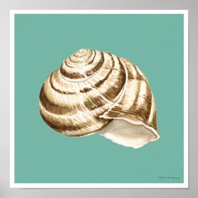 Sepia Stripe-Snäckan på skalet Poster (Framsidan)