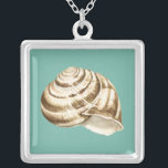 Sepia Stripe-Snäckan på skalet Silverpläterat Halsband<br><div class="desc">Megan Meagher är känd för sin enkla konst biet. Detta är en underbar bild av dekorativ konst som fångar upp havets liv med en strimlad sepiabisk snäcka. Hämta den här bran på färg på Zazzle-produkten i dag.</div>