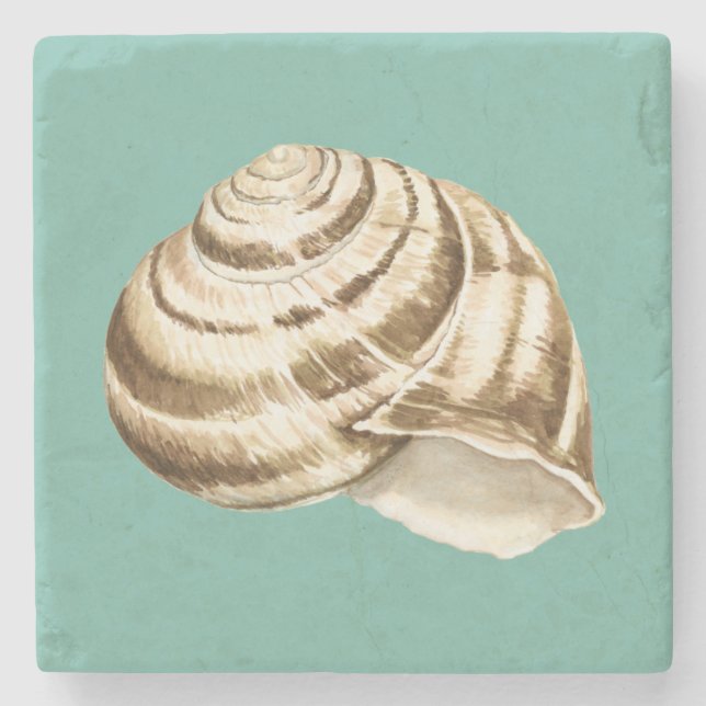 Sepia Stripe-Snäckan på skalet Stenunderlägg (Framsidan)