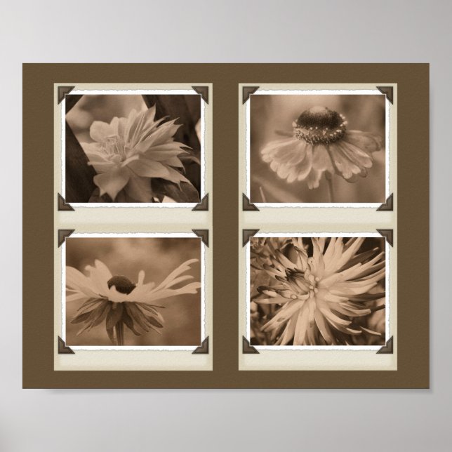 Sepia Tint Flowers Collage Nature Poster (Framsidan)