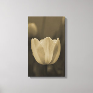 Sepia tonar blommar för singeltulpanblomman upp canvastryck