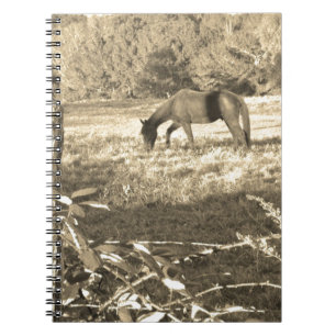 Sepia tone Brown häst och staket Anteckningsbok