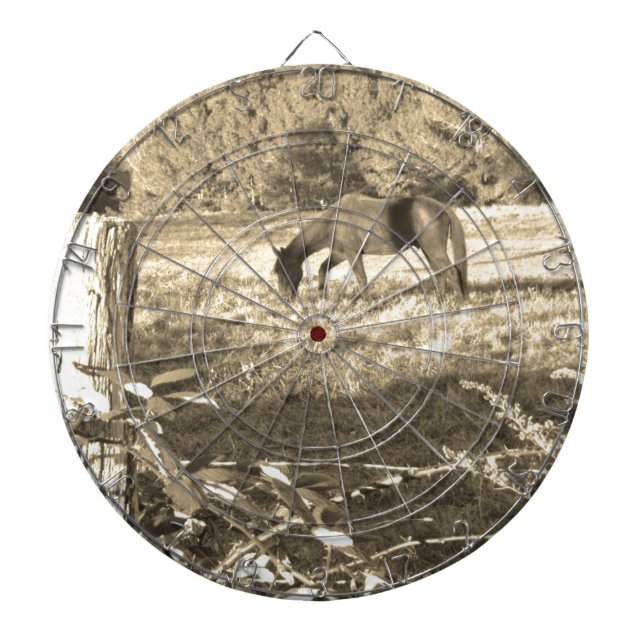 Sepia tone Brown häst och staket Piltavla (Framsidan)