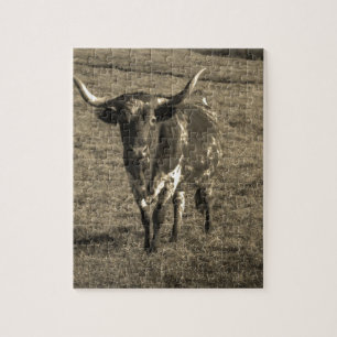 Sepia Tone Brown och White Longhorn Bull Pussel
