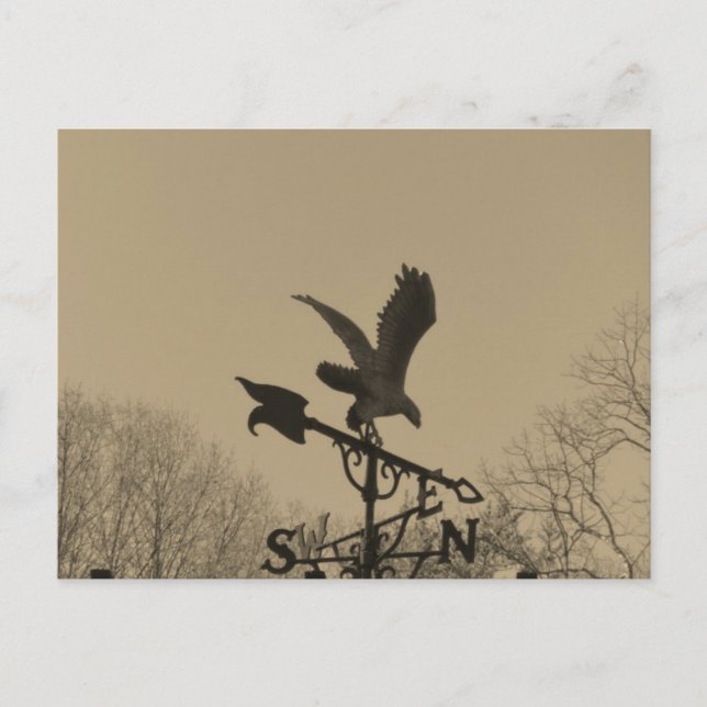 Sepia Tone Eagle Weather vane Vykort (Framsida)
