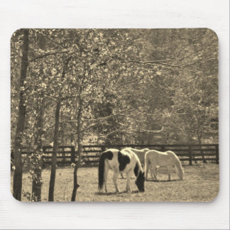 Sepia Tone Photo of Horse Musmatta