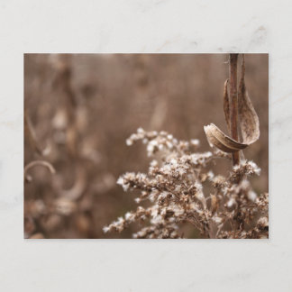 Sepia Tones Vykort