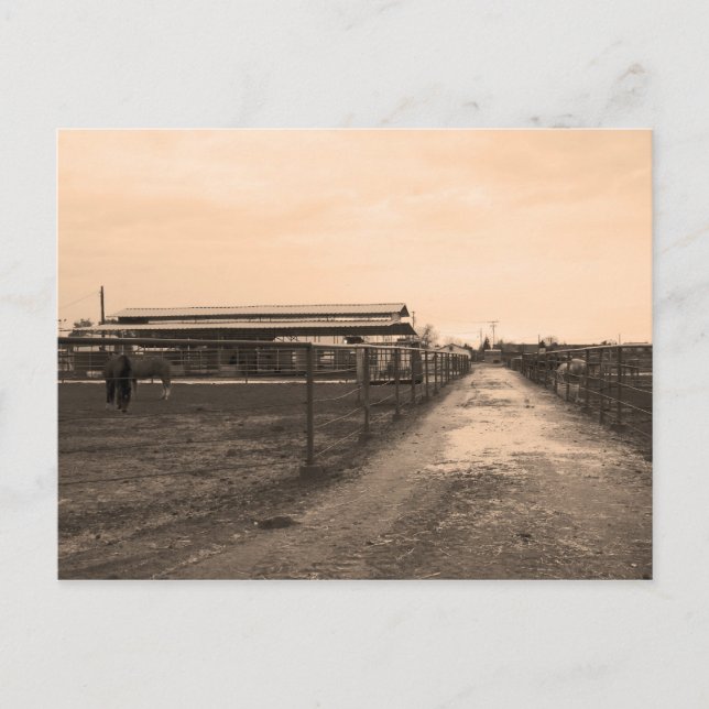 Sepia-tonfoto Vykort (Framsida)