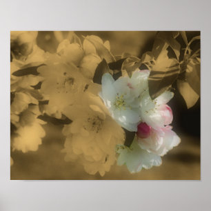 Sepia Vår Flower Blommar Partial Färg Poster