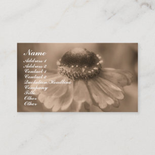 Sepia Zinnia Blomsterfotografi Affärskort Visitkort