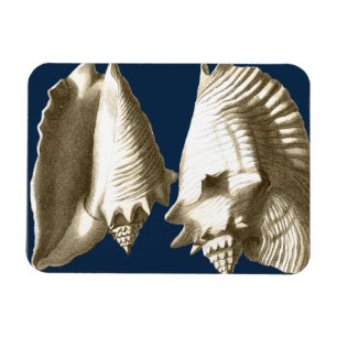 Sepiakontroller Magnet