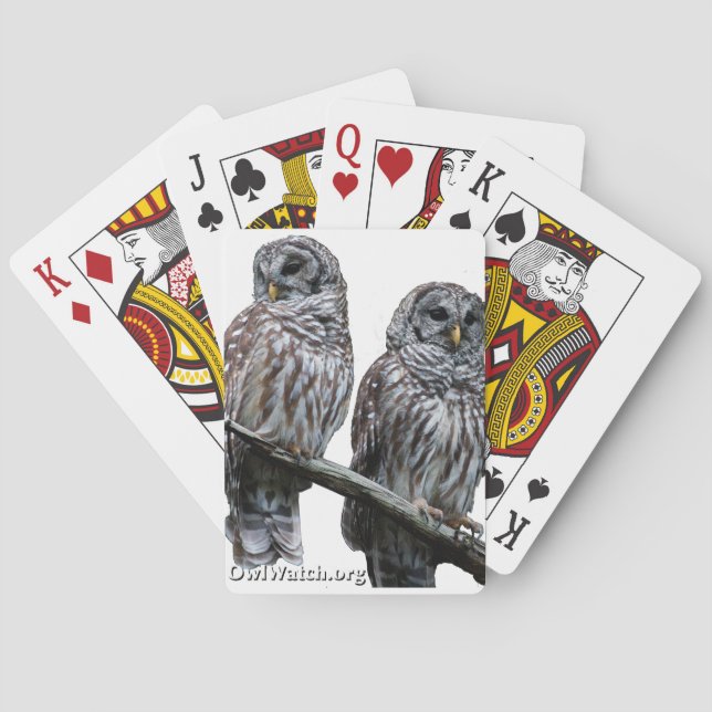 Sept 2014 - OwlWatch Uggla Casinokort (Baksidan)