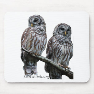 Sept 2014 - OwlWatch ugglor Musmatta