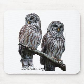 Sept 2014 - OwlWatch ugglor Musmatta