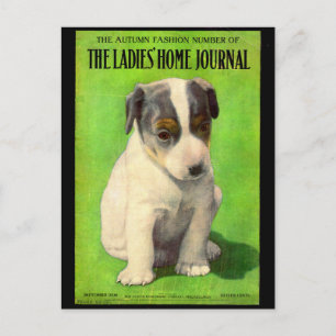 September 1906 Ladies Home Journal omslag valp Vykort