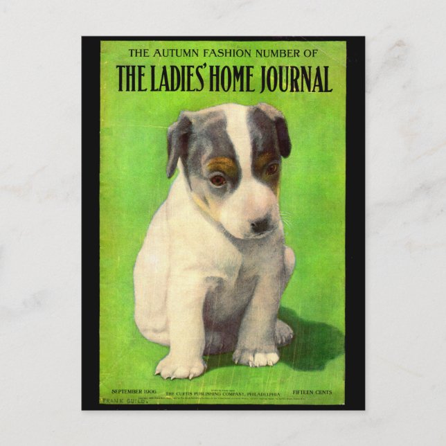 September 1906 Ladies Home Journal omslag valp Vykort (Framsida)
