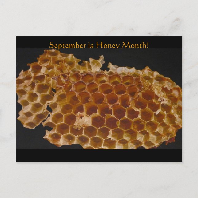 September är honungsmånad! vykort (Framsida)