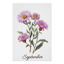 September Aster Birth Flower Vintage Botanical Perfect Poster