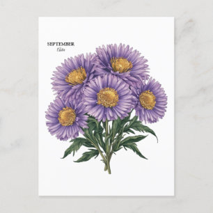 September Aster Födelsemånad Anpassad Blommig Kons Vykort