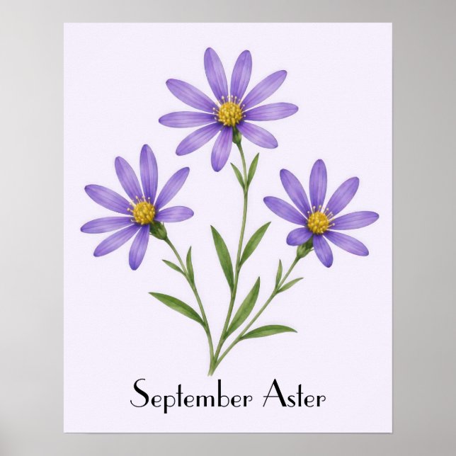 September Asters Höstblommor Poster (Framsidan)