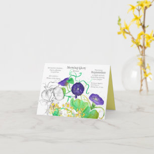 September Birthday Morgon Glory Aster Birth Month Kort