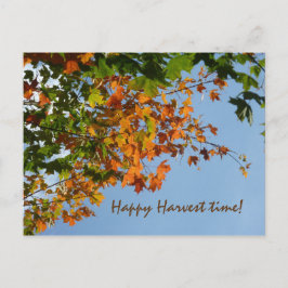 September färg vykort