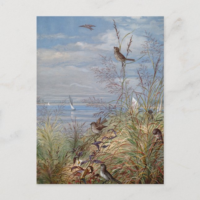 september | Fidelia Bridges Vykort (Framsida)