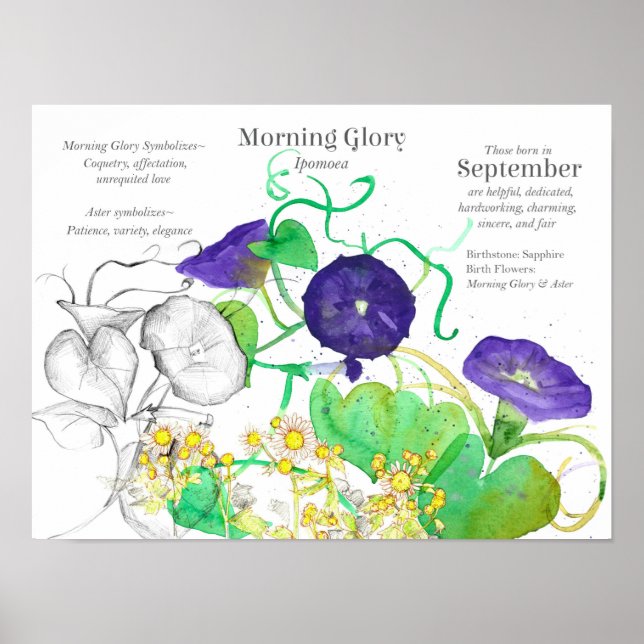 September Flower Language of Flowers Poster (Framsidan)