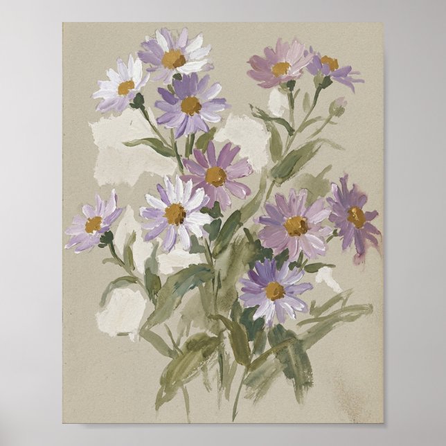 September Födelsemblomma Aster I Poster (Framsidan)