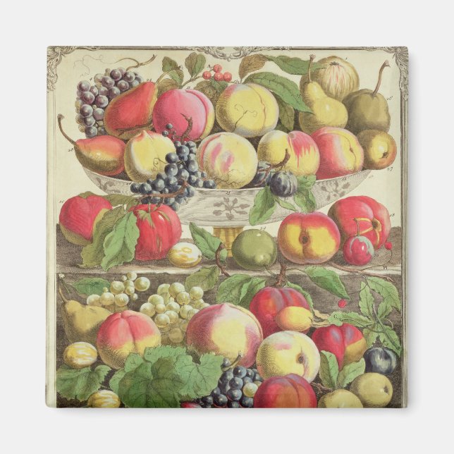 September, från "12 månader av frukt" magnet (Framsidan)