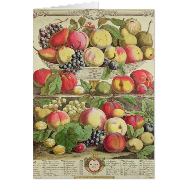 September från 'tolv månader av frukter hälsningskort (Framsidan)