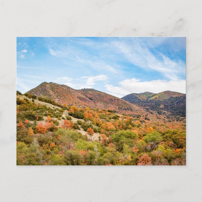 September i Payson Canyon Vykort (Framsida)