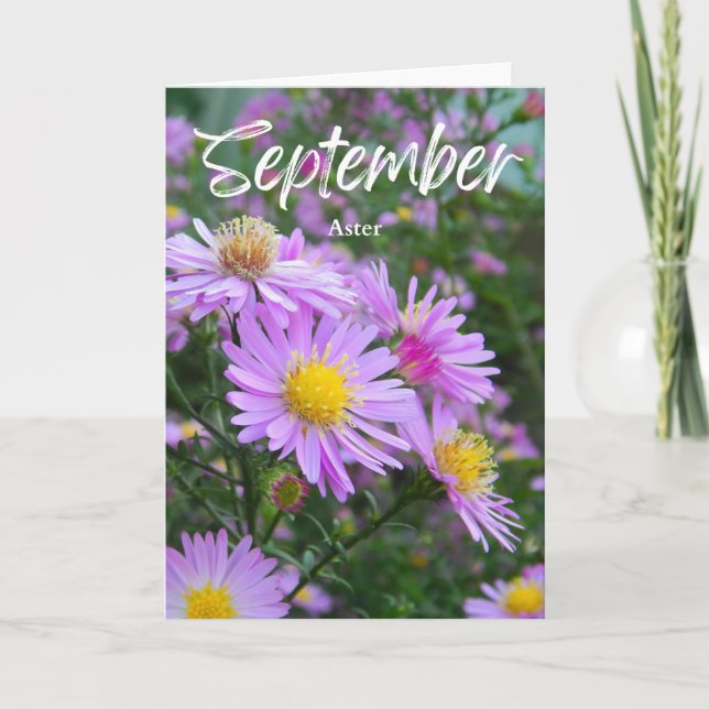 September Lila Gult Aster Birth Month Birthday Kort (Framsida)