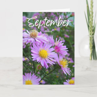 September Lila Gult Aster Birth Month Birthday Kort