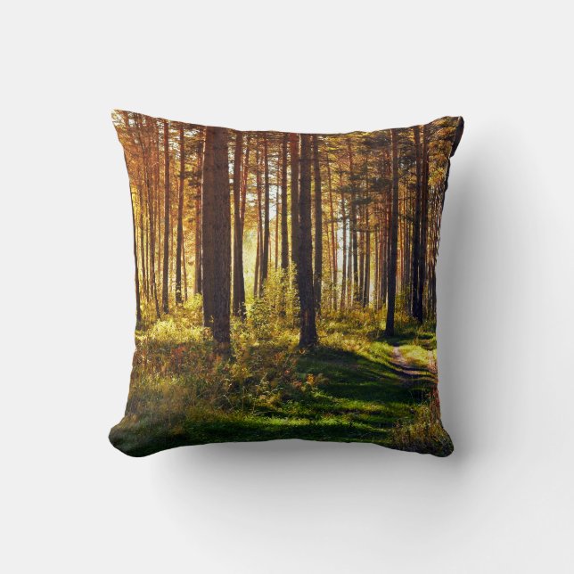 September skog kudde (Framsida)