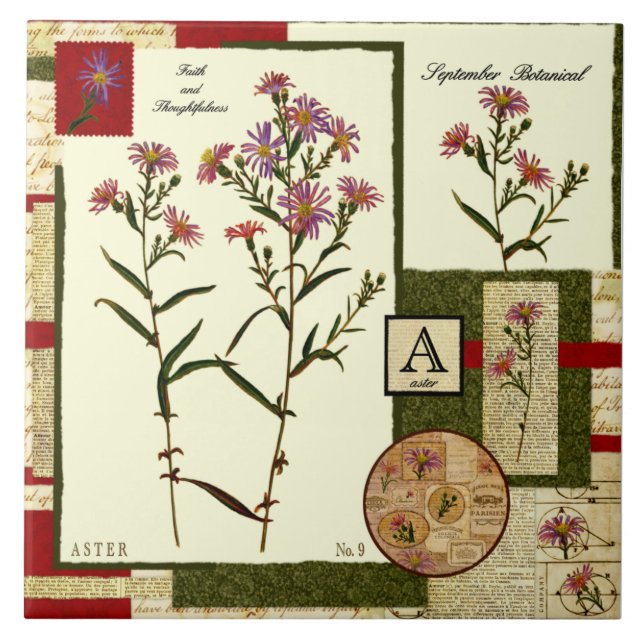 Septembers blomma kakelplatta (Framsidan)