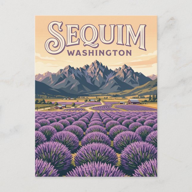 Sequim Lavender Farms Washington Vykort (Framsida)