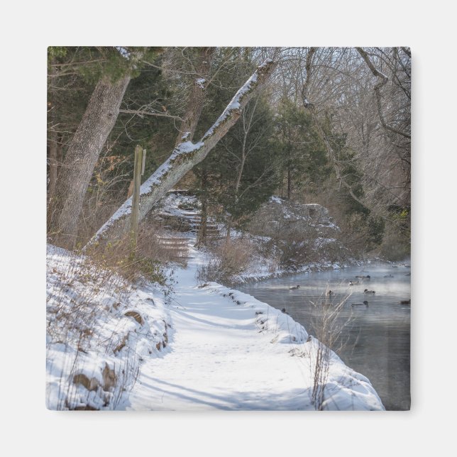 Sequiota Winter Walk Magnet (Framsidan)