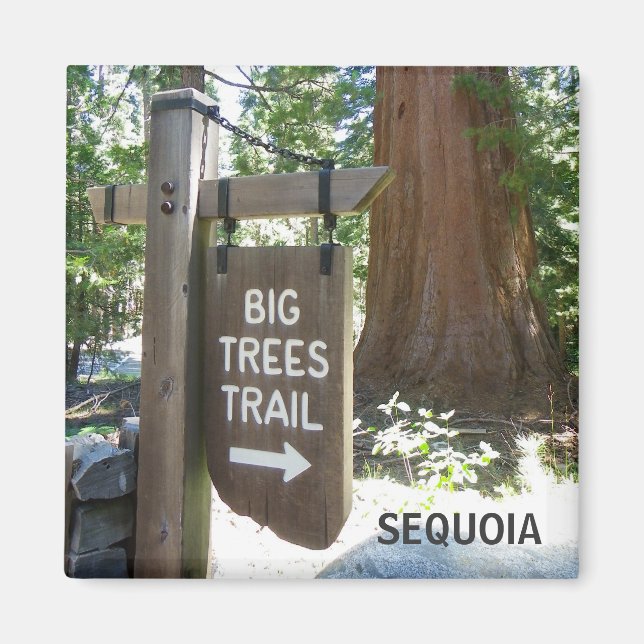 Sequoia Big Träd Trail Magnet! Magnet (Framsidan)