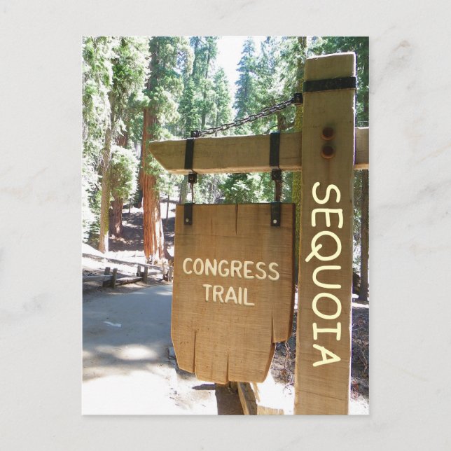 Sequoia/Congress Trail Postcard! Vykort (Framsida)