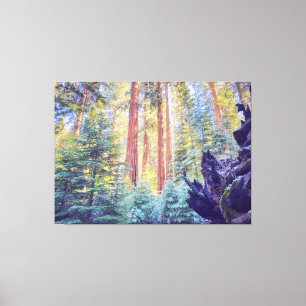 Sequoia Forest Canvastryck