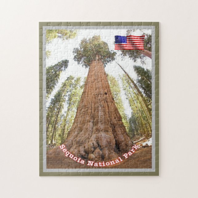 Sequoia - general Sherman Träd - Förenade Stater - Pussel (Vertikal)
