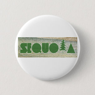 Sequoia Knapp