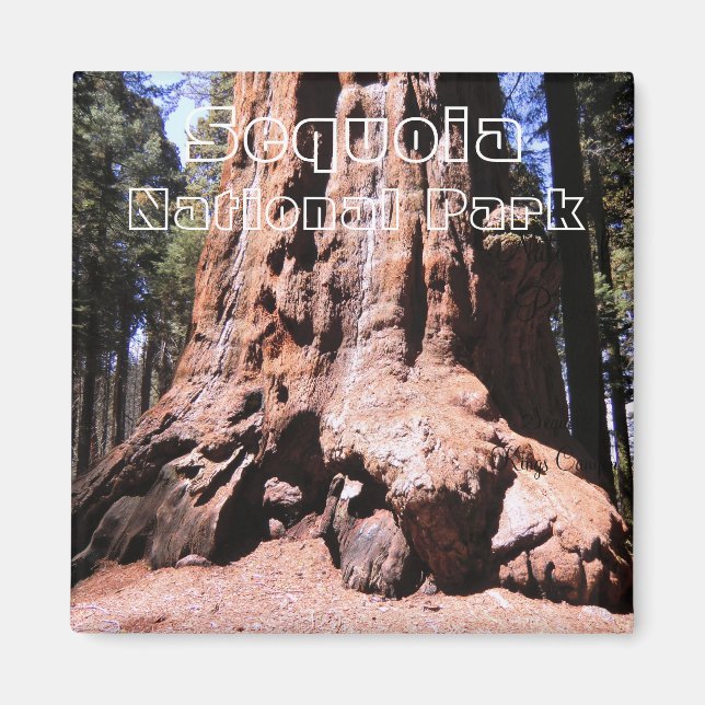 Sequoia/Kung Canyon National Park Magnet (Framsidan)
